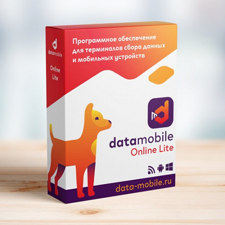 ПО DataMobile, версия Online Lite